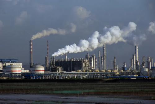 1637044238309678.jpg 3(1).jpg